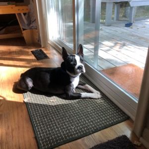 Meet your Posher, Danielle